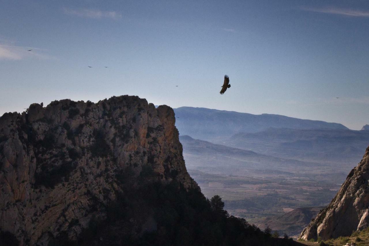 Casa Jou Villa Abella de la Conca Kültér fotó